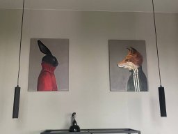 IMG_6437